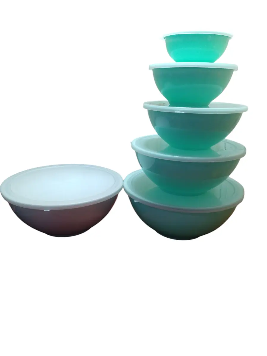 BOWLS MELAMINA X5